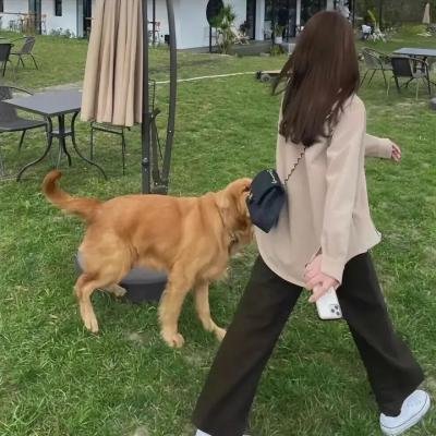 厉害媳妇